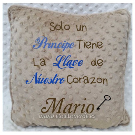 COJINES PERSONALIZADOS