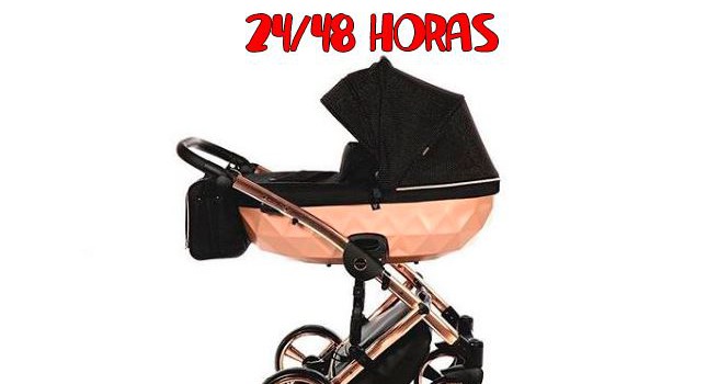Necesitás un carrito de bebé de manera urgente? Estrenamos sección ENVIOS EXPRESS 24 a 48 horas Carritos de bebé